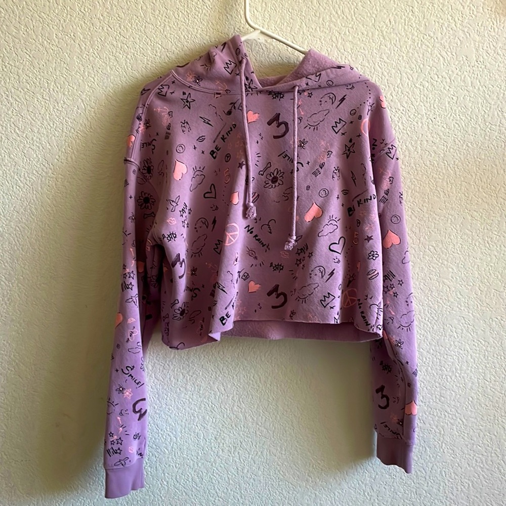 wildfable graphic cropped hoodie